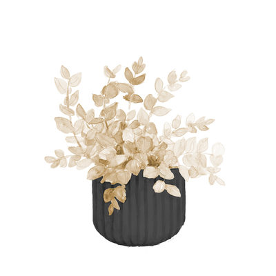 Image Not Available